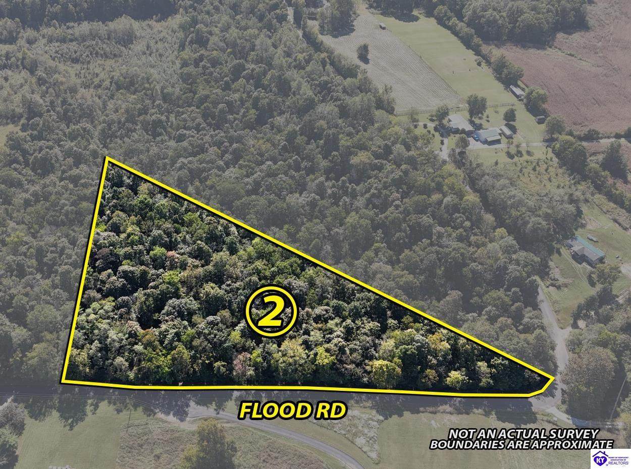 1133 Flood Road - Photo 1