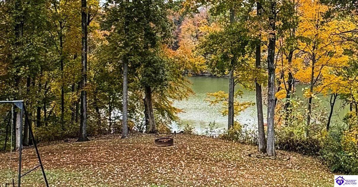 16780 Cub Run Highway - Photo 1