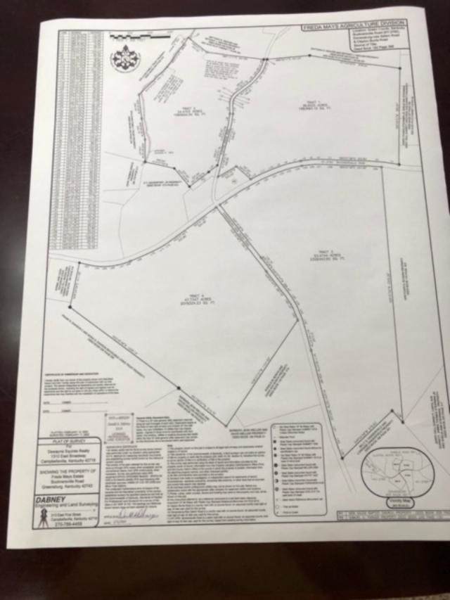 Bucknersville Rd - Photo 1