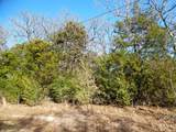 TBD Lt 5 Birch - Photo 1