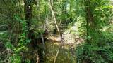 9443 Mistletoe Rd. - Photo 4