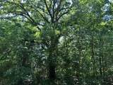 LOT 116 Creekwood Rd - Photo 8