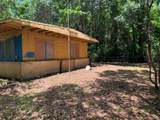 501 Rose Garden Crl. - Photo 3