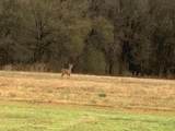 455 Vzcr 2808 - Photo 60