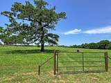 TBD Cr 1127 - Photo 1