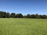 TRACT  4 Cr 4506 - Photo 8