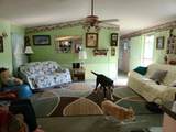 421 Bush St - Photo 1