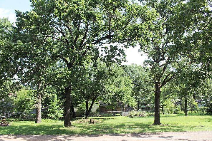 0 Wildgrove Dr - Photo 1