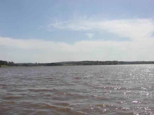 248 Overlook Point - Photo 1
