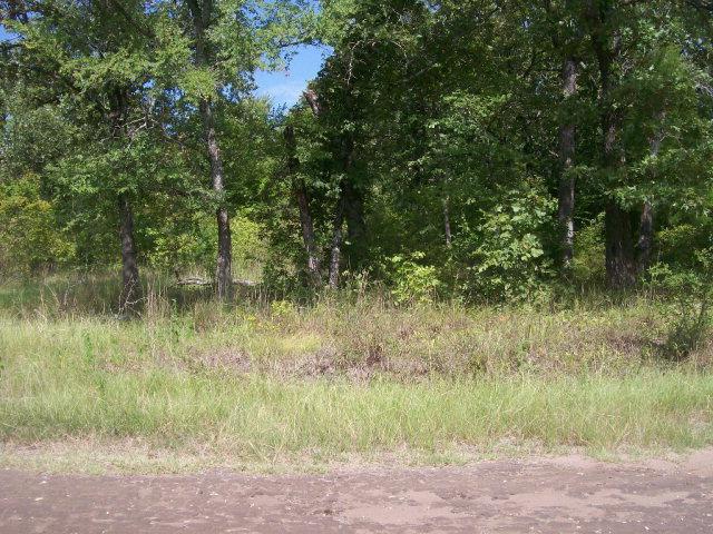 14228 Alamo Road - Photo 1