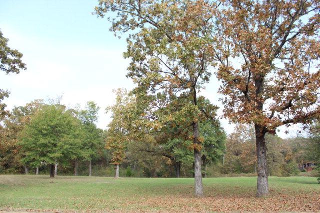 0 Avery Lane - Photo 1
