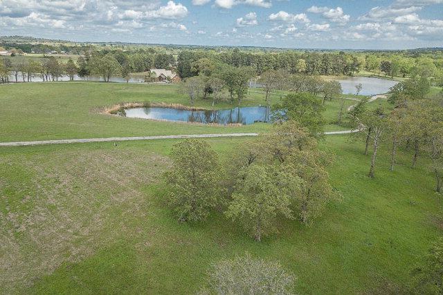 14170 Caddo Creek Circle - Photo 1