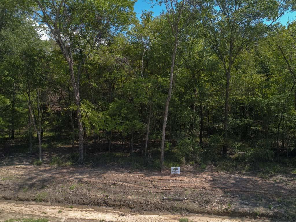 107 Lakeview Tr - Photo 1
