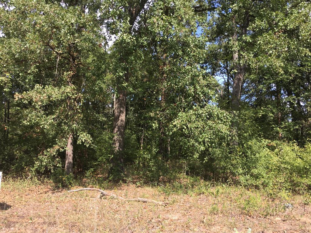 111 Whispering Oaks Ln - Photo 1