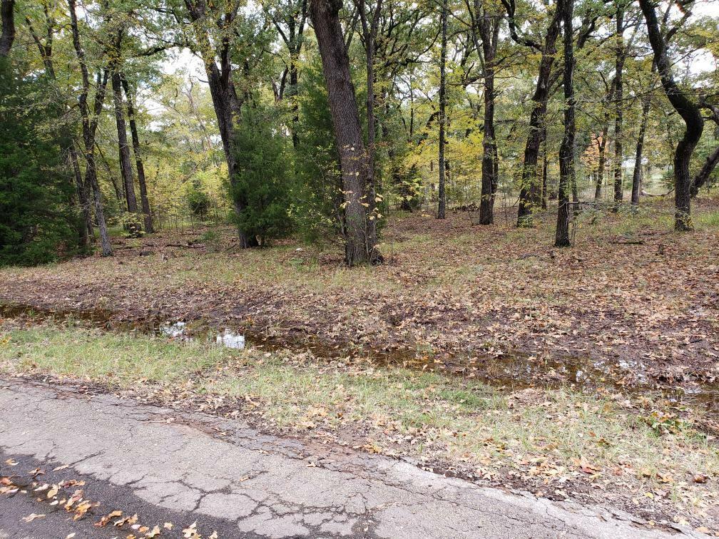 6159 Chickasaw Drive - Photo 1