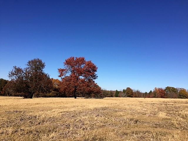 7150 Cr 3715 - Photo 1