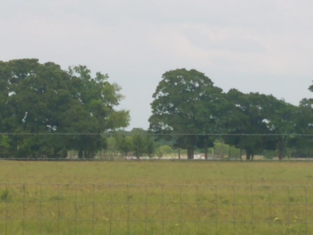 17159 Cr 2613 - Photo 1