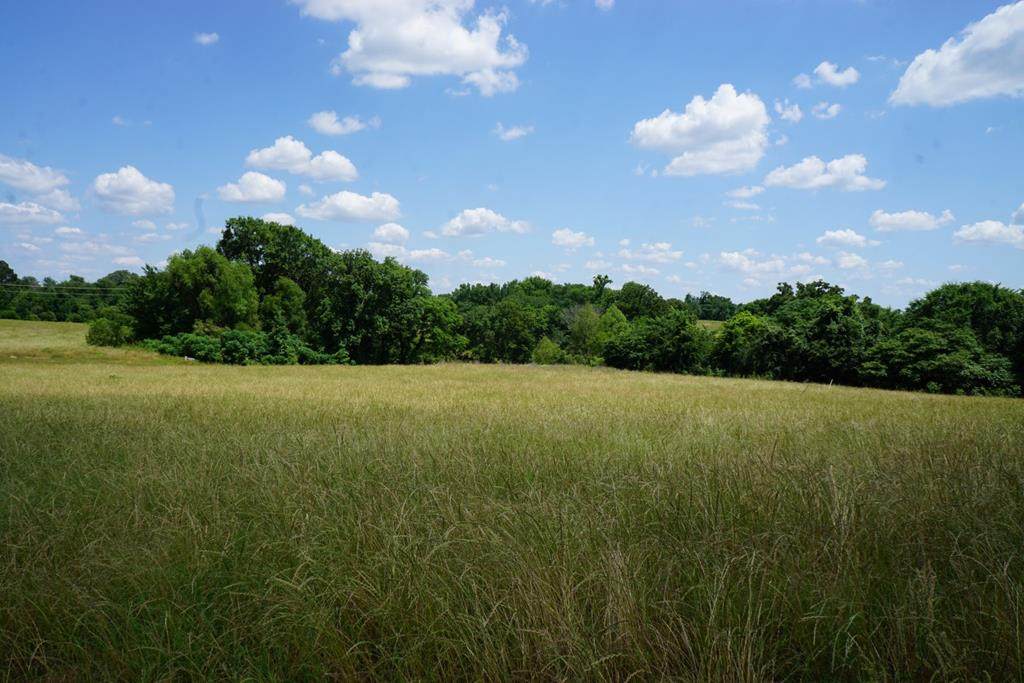 Lt173 Lago Vista Drive - Photo 1