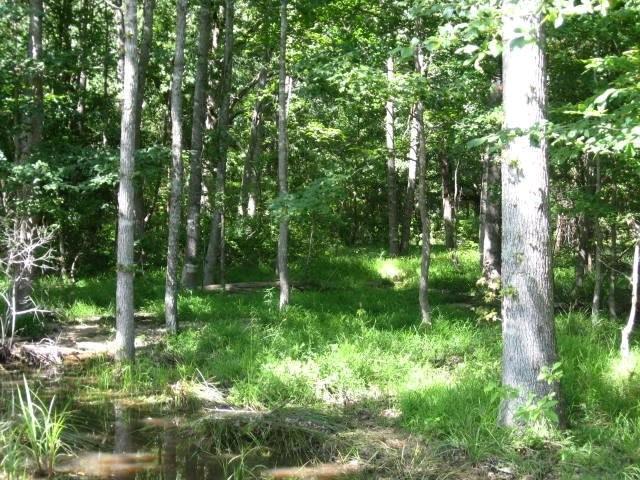 Lt 402 Mallard Way - Photo 1