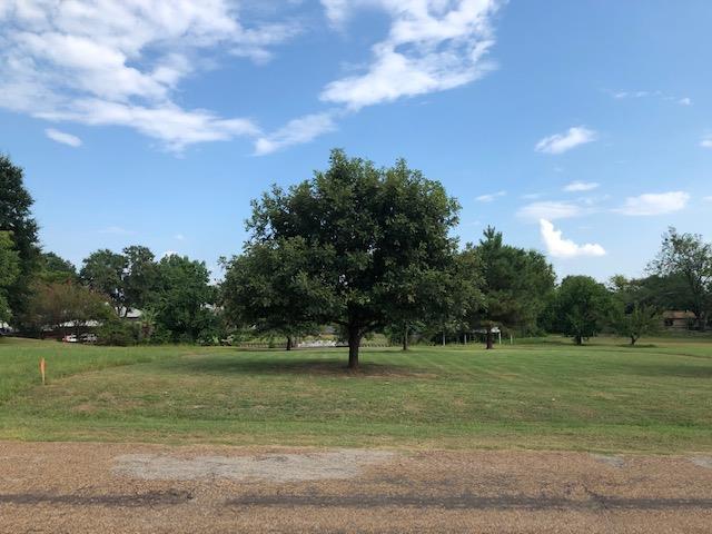 0 Rocking Chair Ranch Road - Photo 1