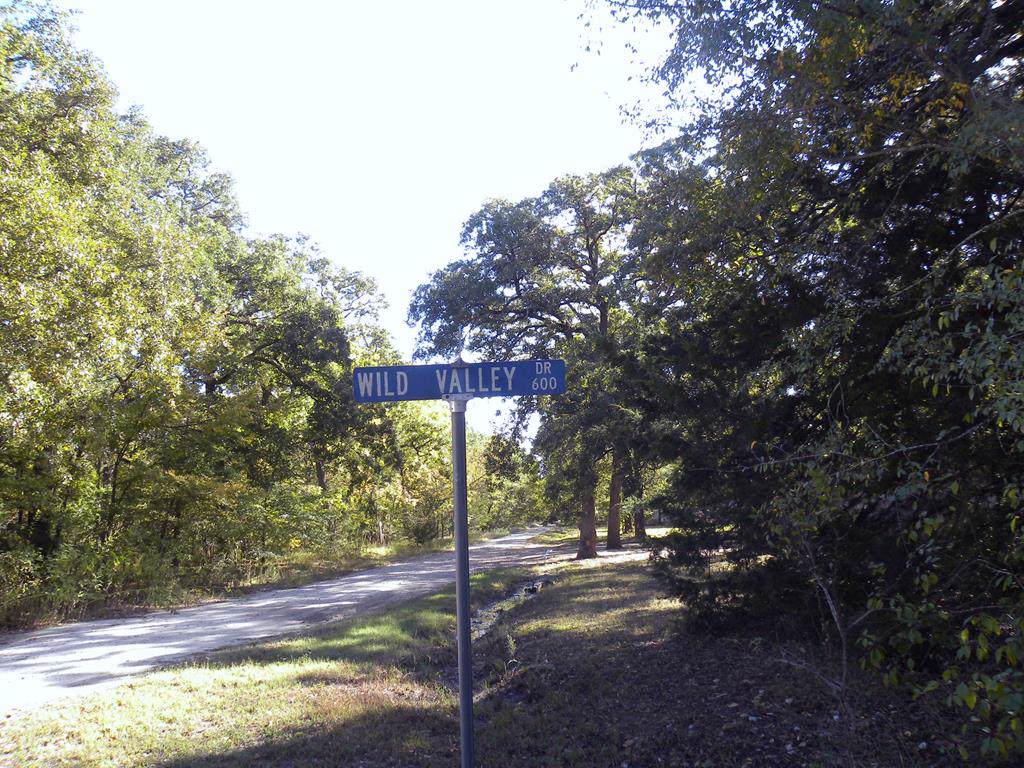 0000 Wild Valley Dr - Photo 1