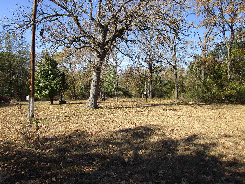 14286 Doc Holiday - Photo 1