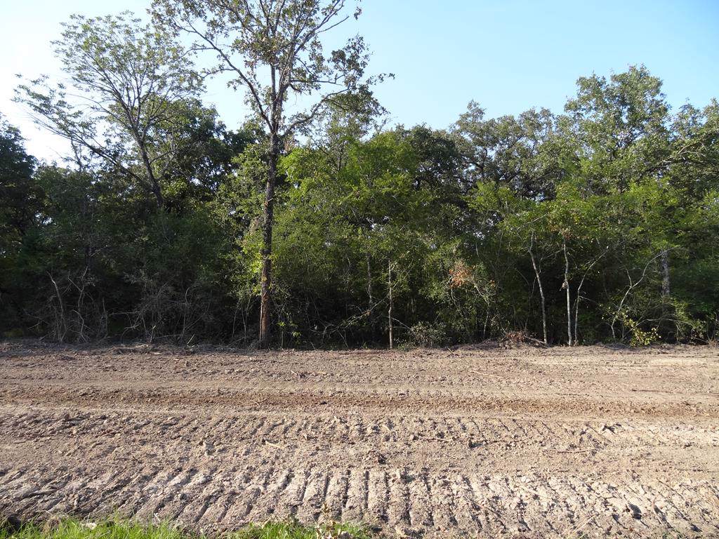 LOT 4 Cr 1429 - Photo 1