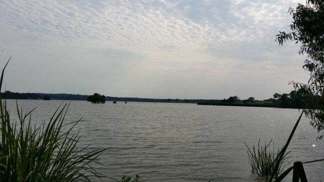 Lot 338 Grandview Drive - Photo 1