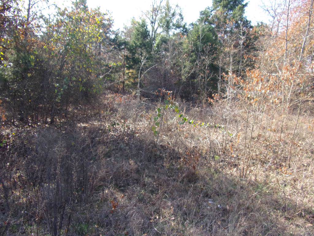 tbd Elm Drive - Photo 1