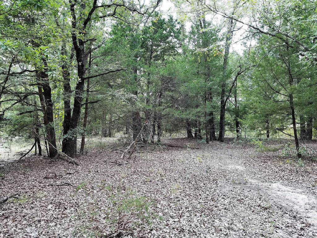 07 Cr 2404 - Photo 1