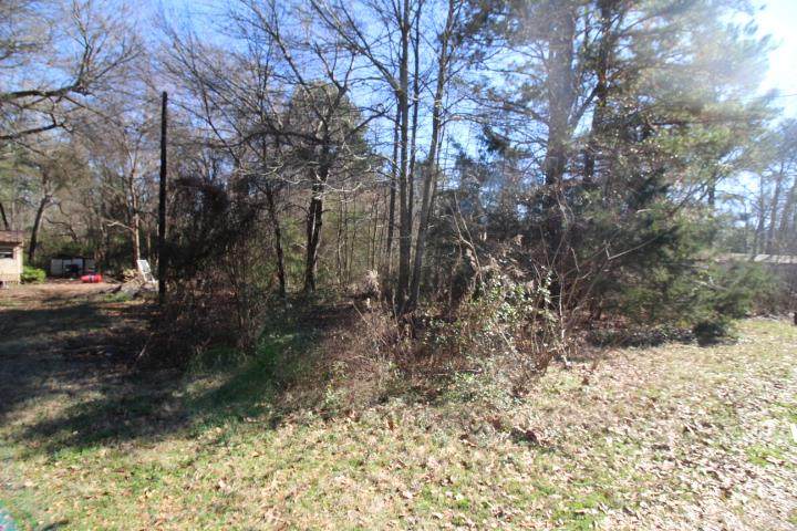 Lot 9 Scott Mobile Trail - Photo 1