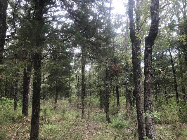 Lot 63 Pine Grove Court - Photo 1 Lot 63 Pine Grove Court - Photo 1