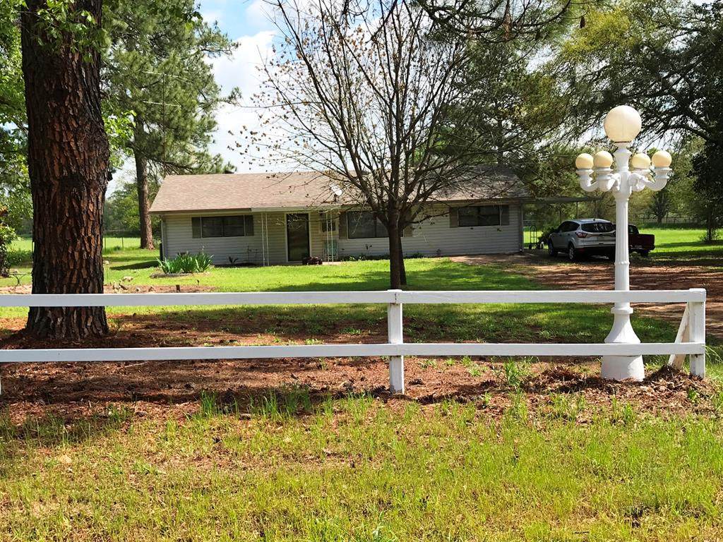 9469 Hwy 19 South - Photo 1