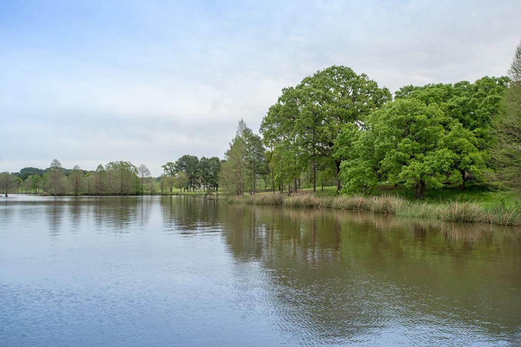 0 Wildlife Way - Photo 1