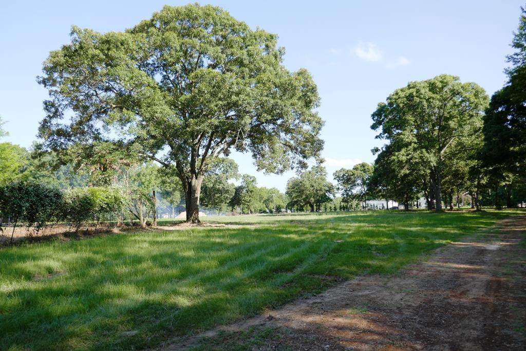 2283 Fm 2495 - Photo 1