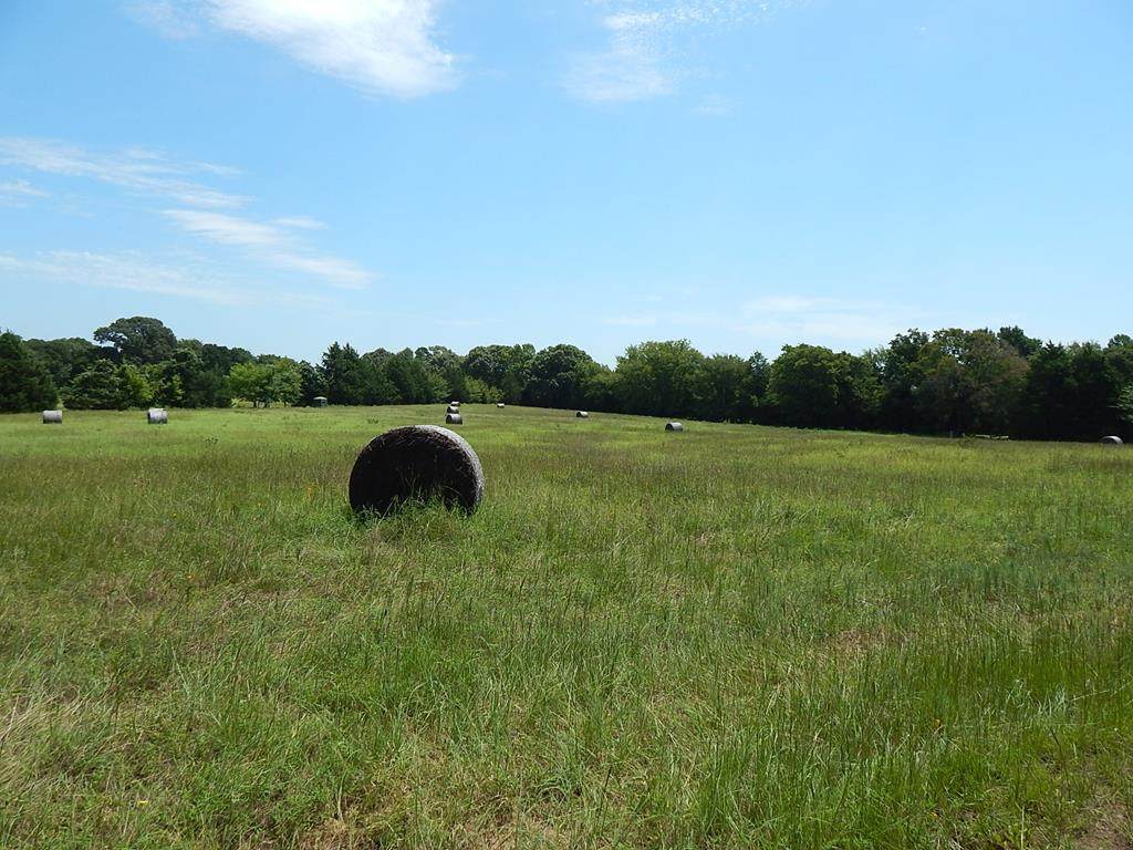 TBD Fm 315 - Photo 1