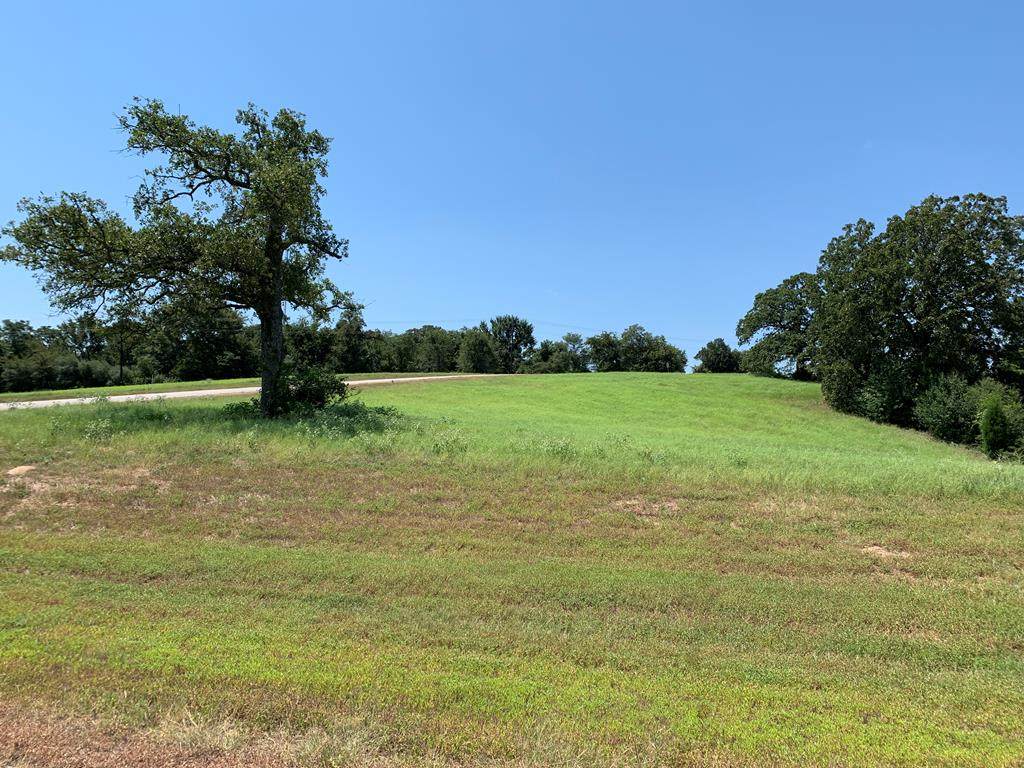 Lt 257 High Point Court - Photo 1