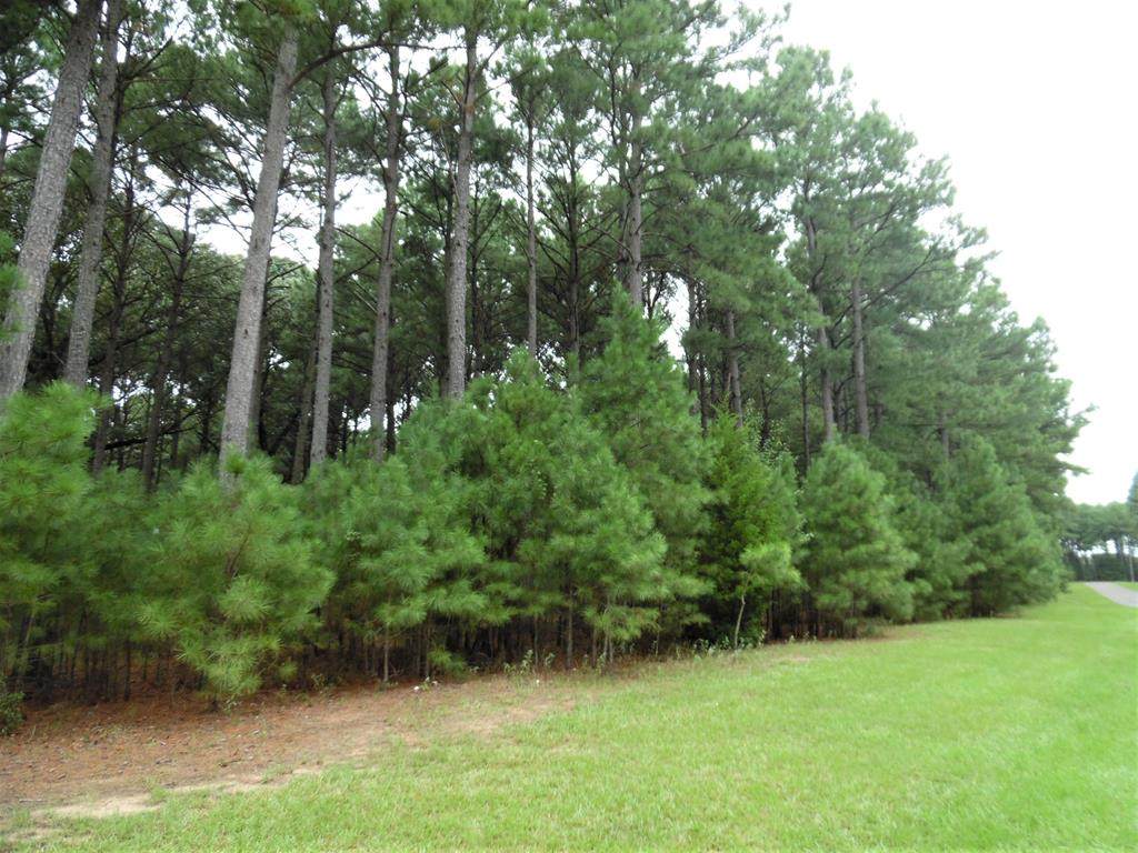 L 267 Waters Edge Drive - Photo 1