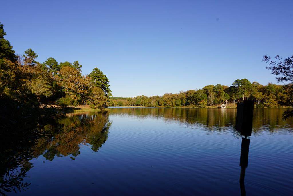 230 Safari Shores Drive - Photo 1
