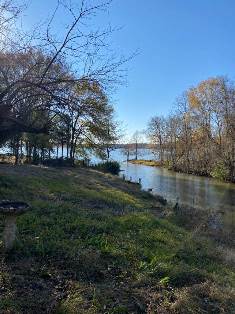 12842 Jasmine Court - Photo 1