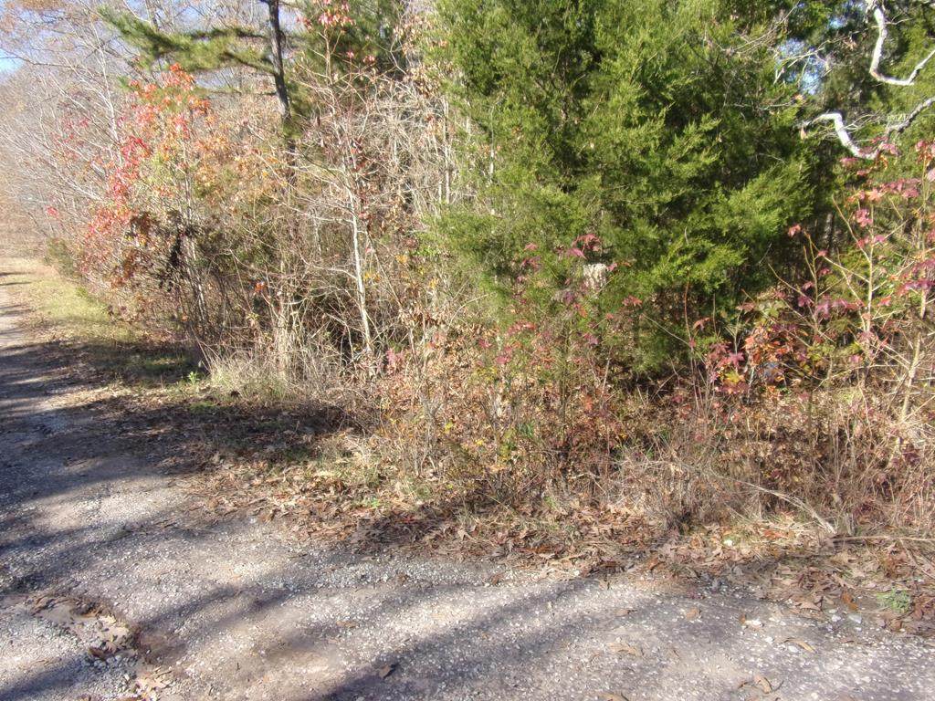 tbd Cypress Row - Photo 1