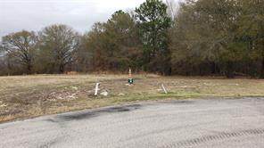 Lot 28R Pine Ridge - Photo 1
