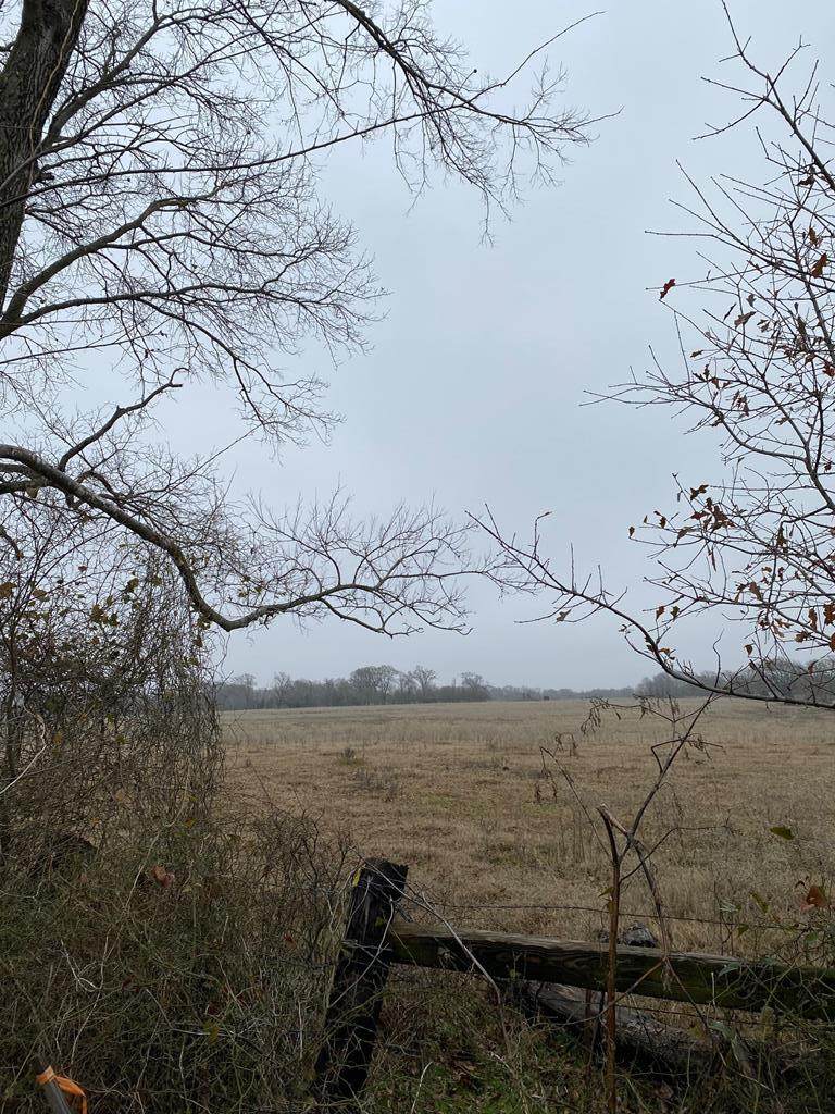 0000 Sh 198 - Photo 1