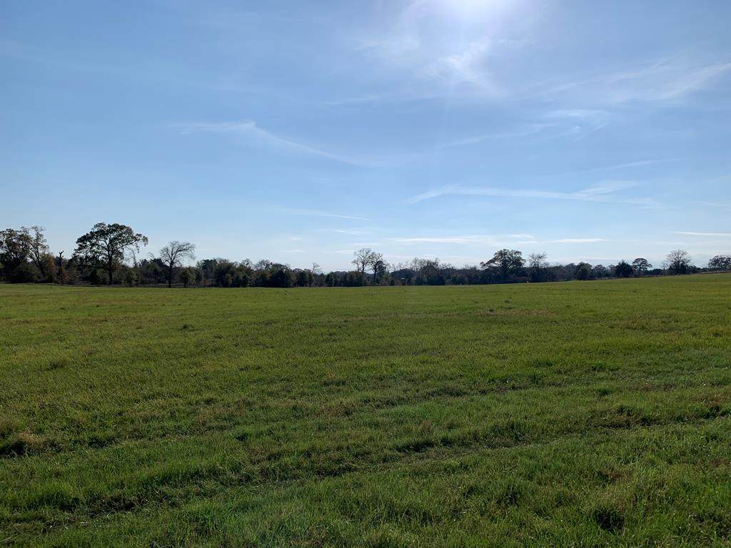 10261 Fm 2709 - Photo 1