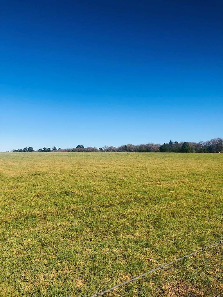TBD Cr 4506 - Photo 1