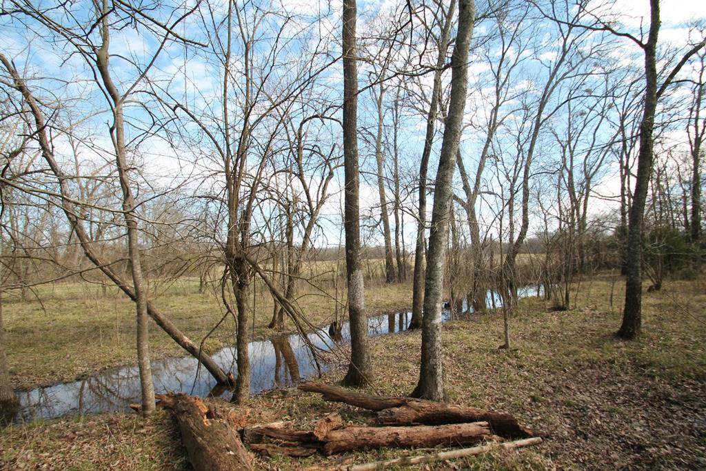 TBD Farm Road 1497 - Photo 1