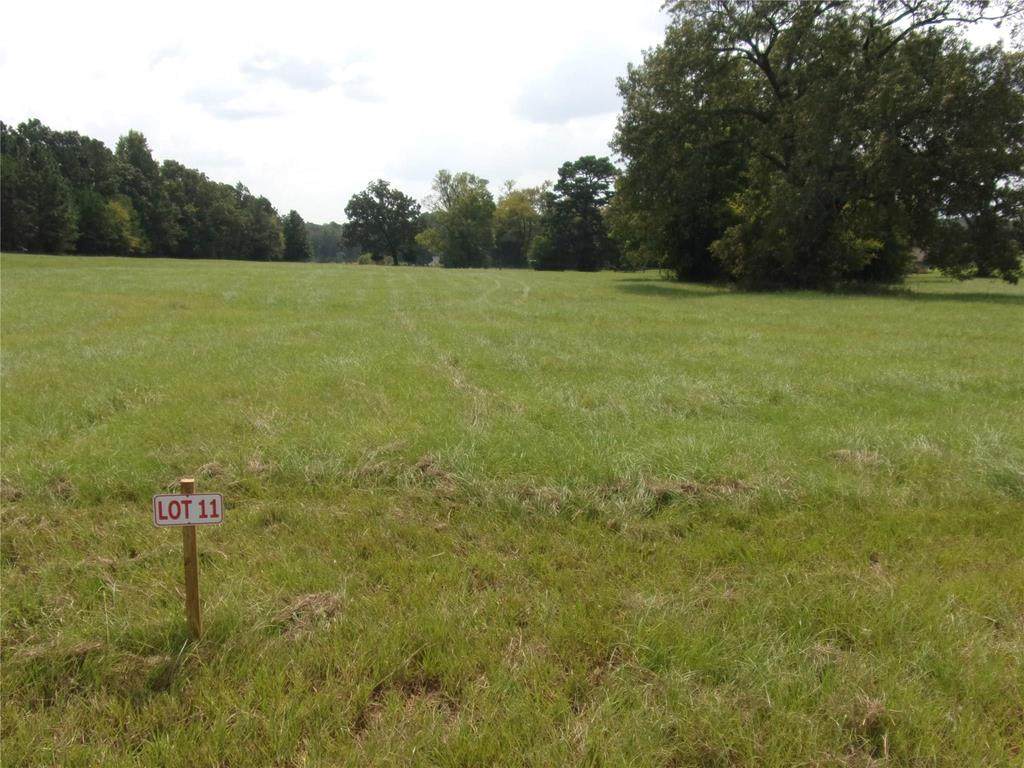 592 Pr 8816 - Photo 1