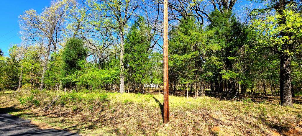 LOT 224 Fawn Trail - Photo 1
