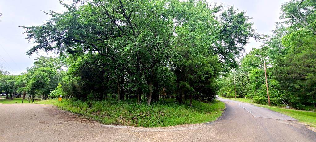 Lot 360 Cedar Oaks - Photo 1