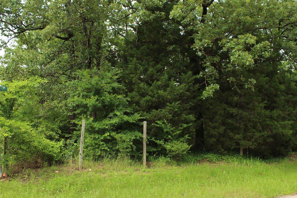 7139 Pakuna Drive - Photo 1
